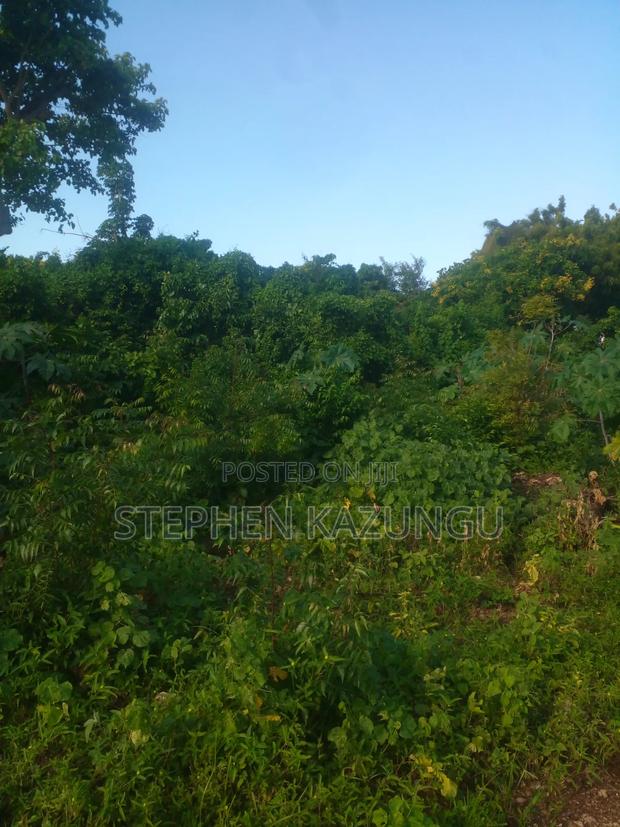 1/4 Acre Plot on 2nd Row Only 250 Metres From the Beach. - thumbnail 11