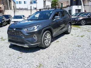 Toyota RAV4 Adventure 2019 Gray