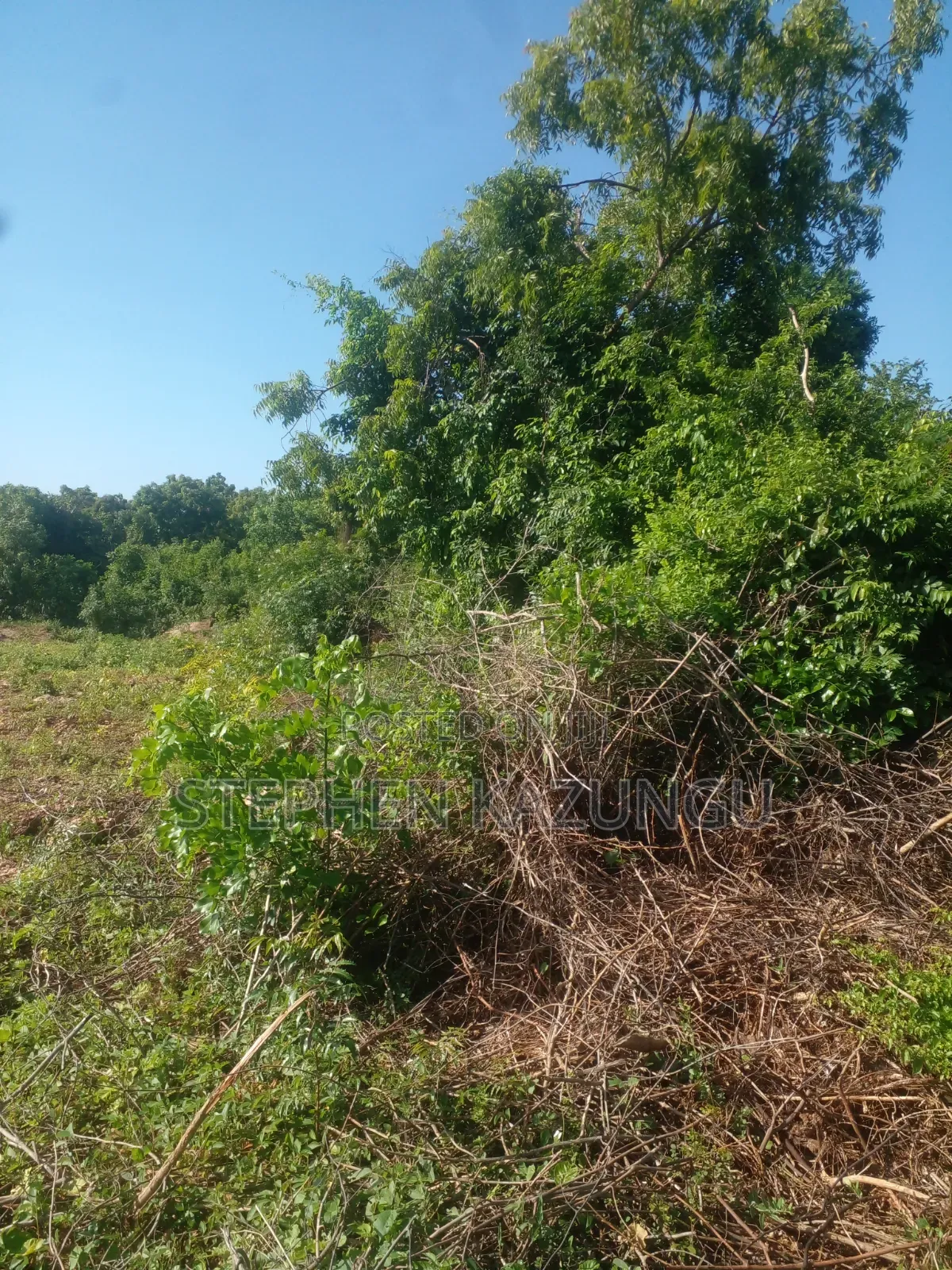 Diani Beach's 1/2 Acre Plot on 2nd Row Only 250 Metres From the Beach.