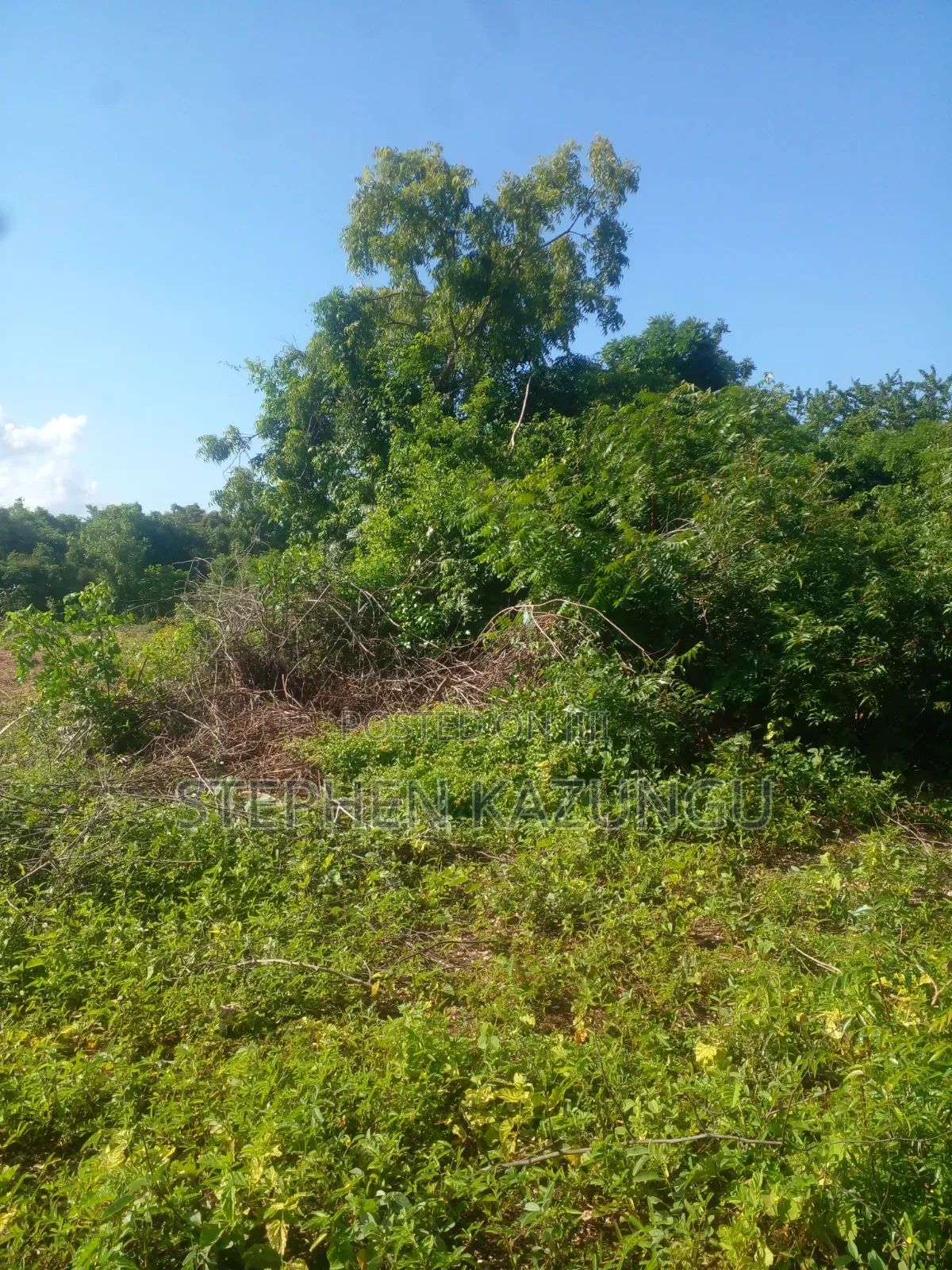 Diani Beach's 1/2 Acre Plot on 2nd Row Only 250 Metres From the Beach.