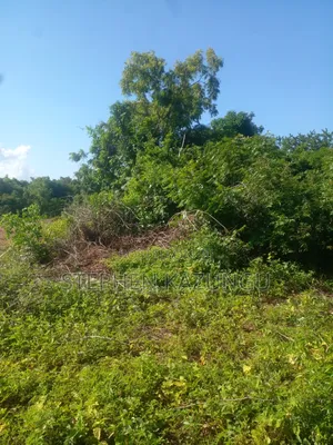 Diani Beach's 1/2 Acre Plot on 2nd Row Only 250 Metres From the Beach.