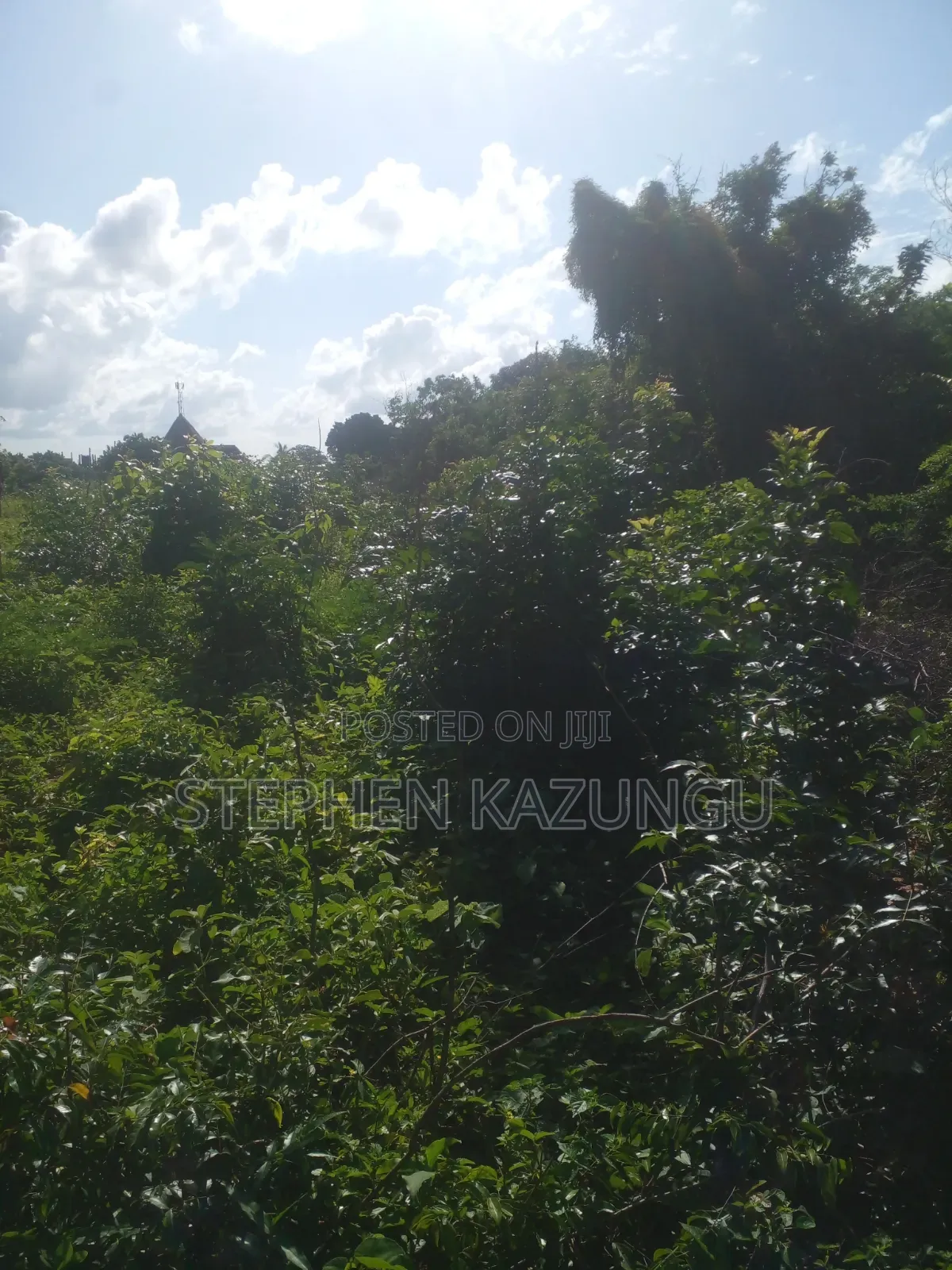 Diani Beach's 1/2 Acre Plot on 2nd Row Only 250 Metres From the Beach.