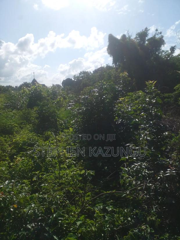 Diani Beach's 1/2 Acre Plot on 2nd Row Only 250 Metres From the Beach. - thumbnail 6