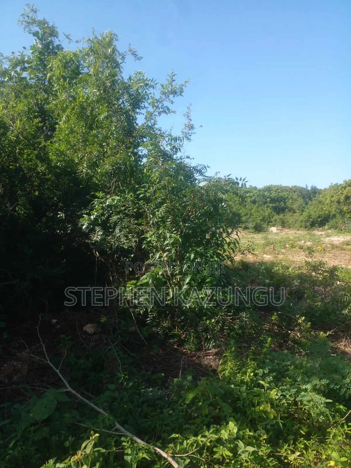 Diani Beach's 1/2 Acre Plot on 2nd Row Only 250 Metres From the Beach.