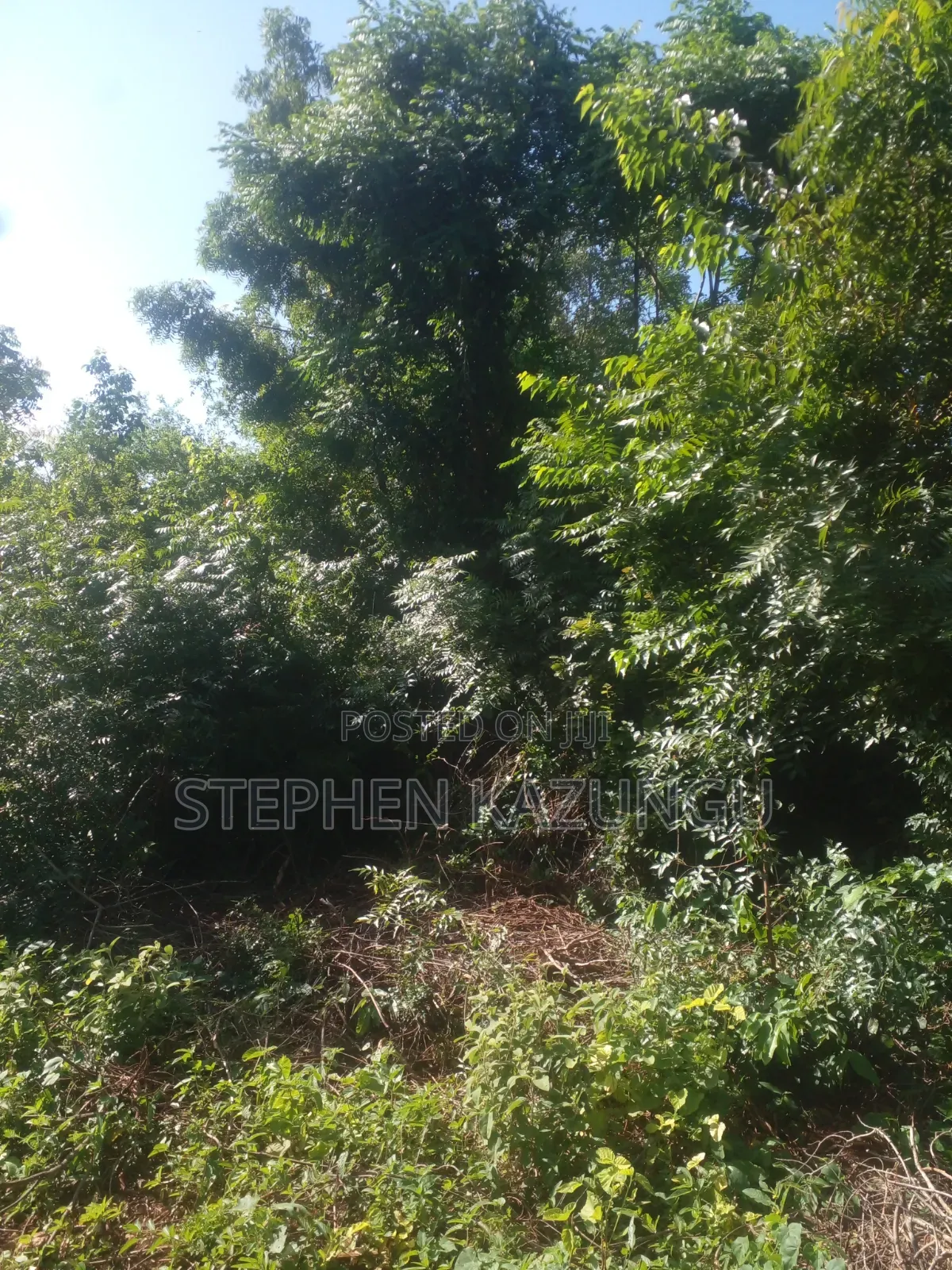 Diani Beach's 1/2 Acre Plot on 2nd Row Only 250 Metres From the Beach.