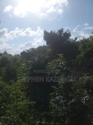 Diani Beach's 1/2 Acre Plot on 2nd Row Only 250 Metres From the Beach.