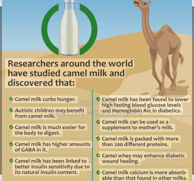 Camel Milk Powder - main view