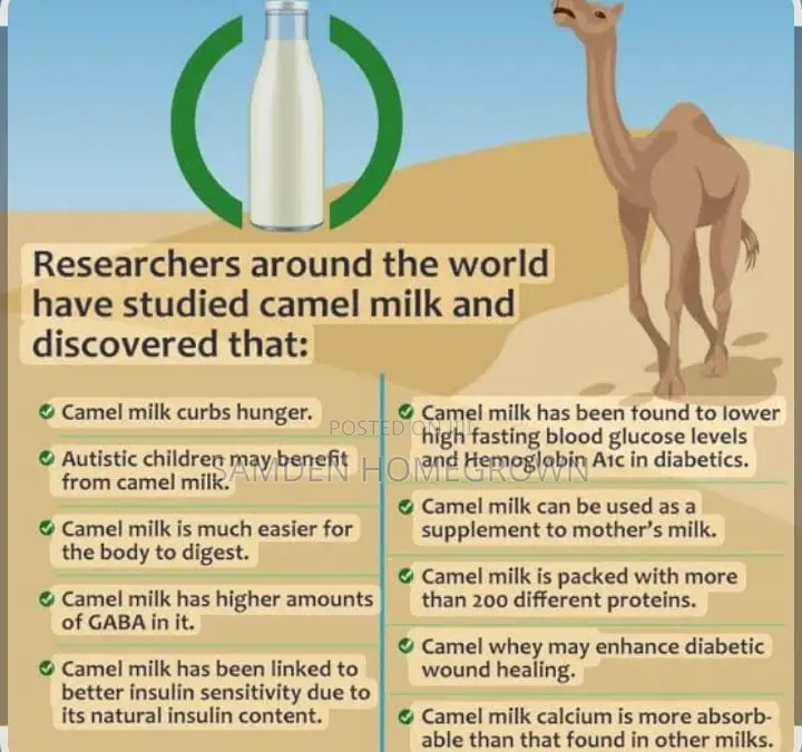 Camel Milk Powder