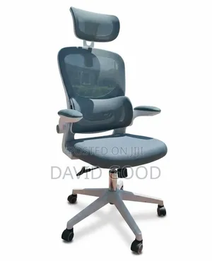 Orthopedic Chair