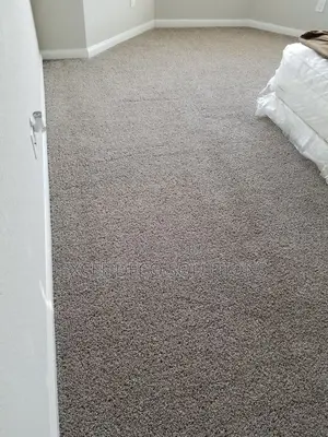 Delta Wall to Wall Carpet for Professional Commercial Spaces