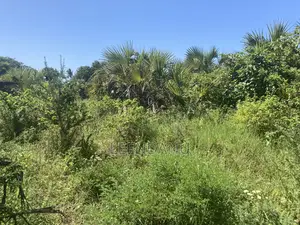 Residential/Commercial Land