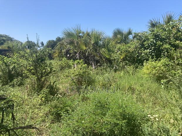 Residential/Commercial Land