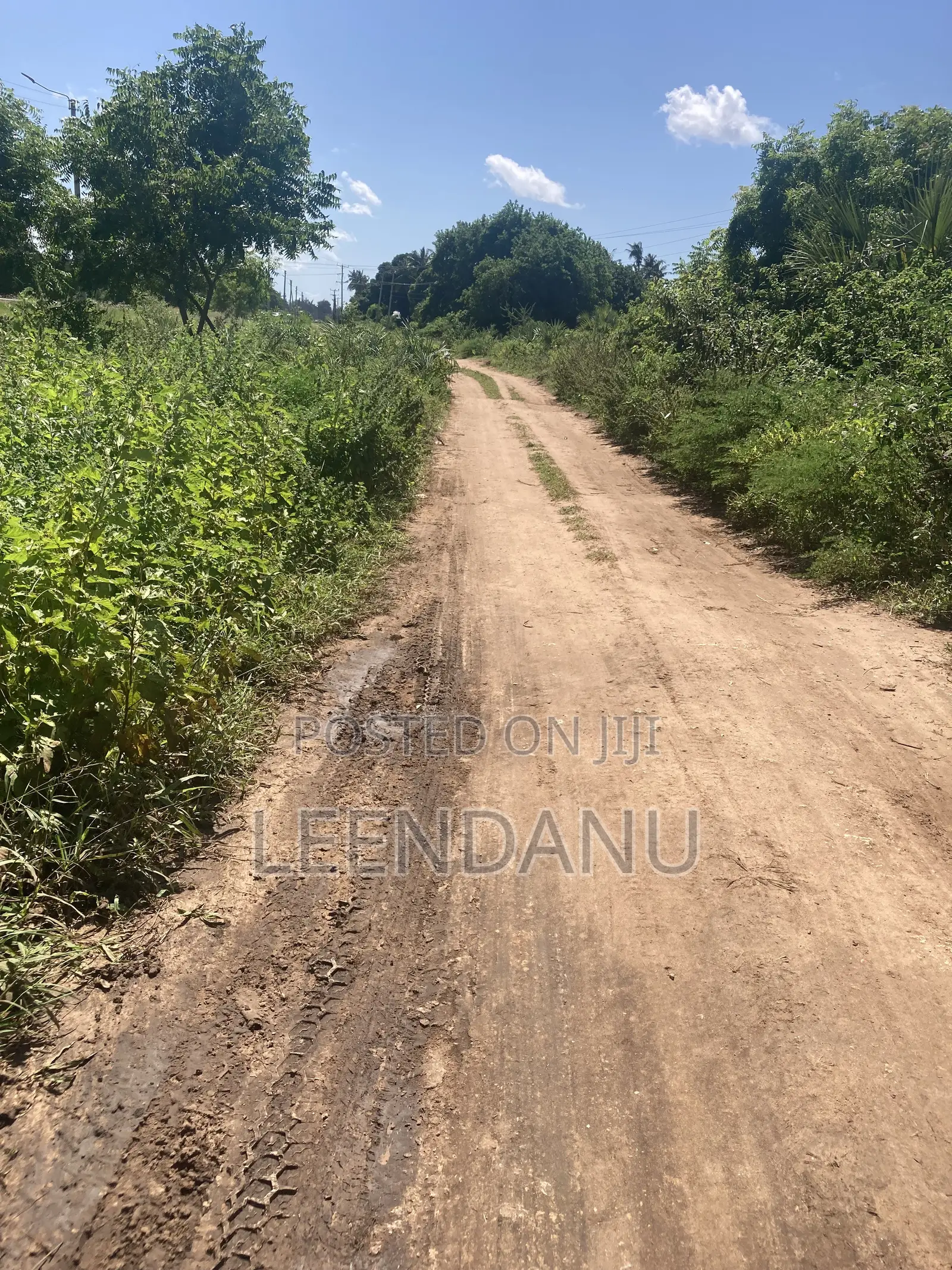 Residential/Commercial Land