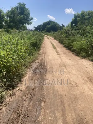 Residential/Commercial Land
