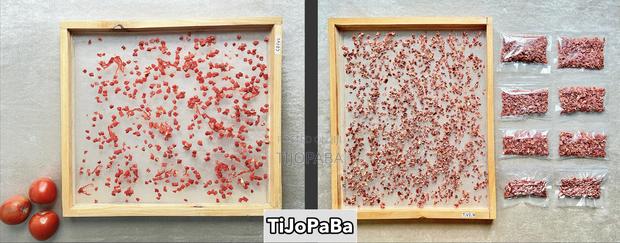 Starter Unit – Standard (Solar Food Dryer). Cypress Wood - thumbnail 3