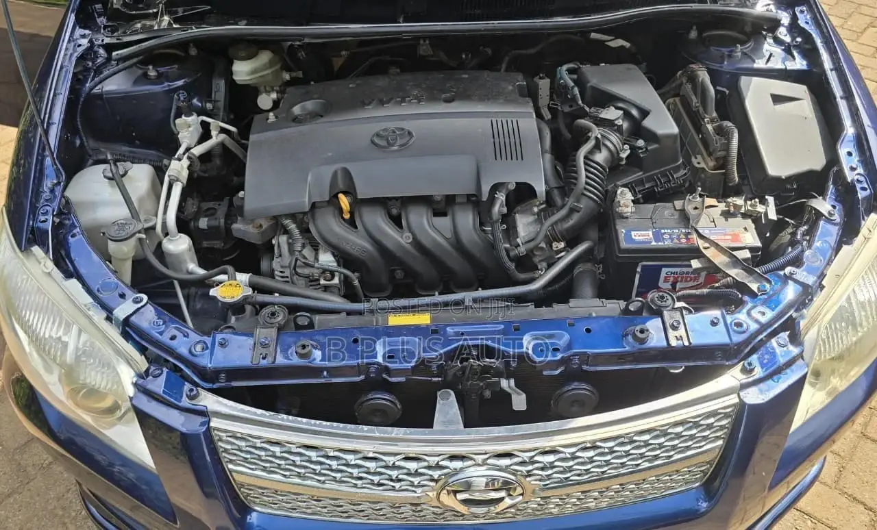 Toyota Axio 2009 Blue