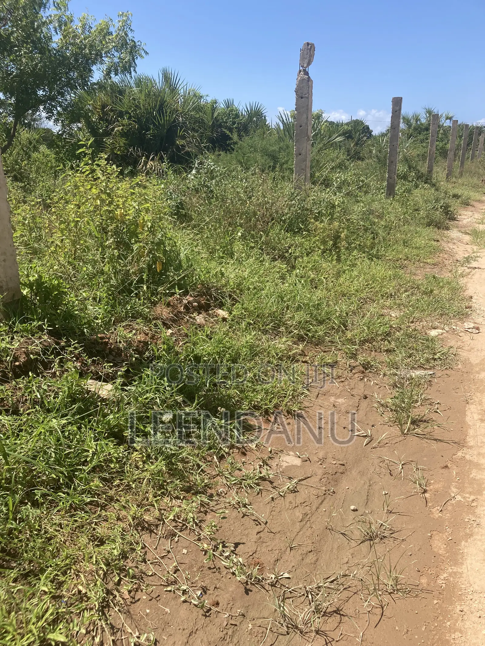 Residential / Commercial Land
