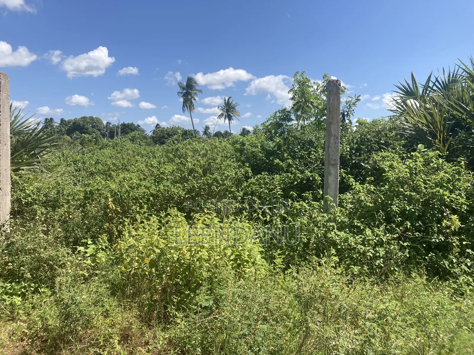 Residential / Commercial Land