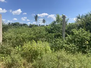 Residential / Commercial Land