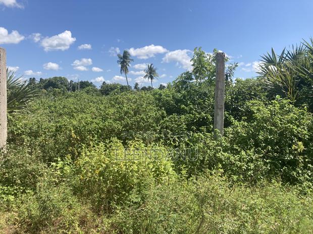 Residential / Commercial Land - thumbnail 2