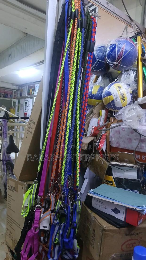 Dog Leashes Medium - main view
