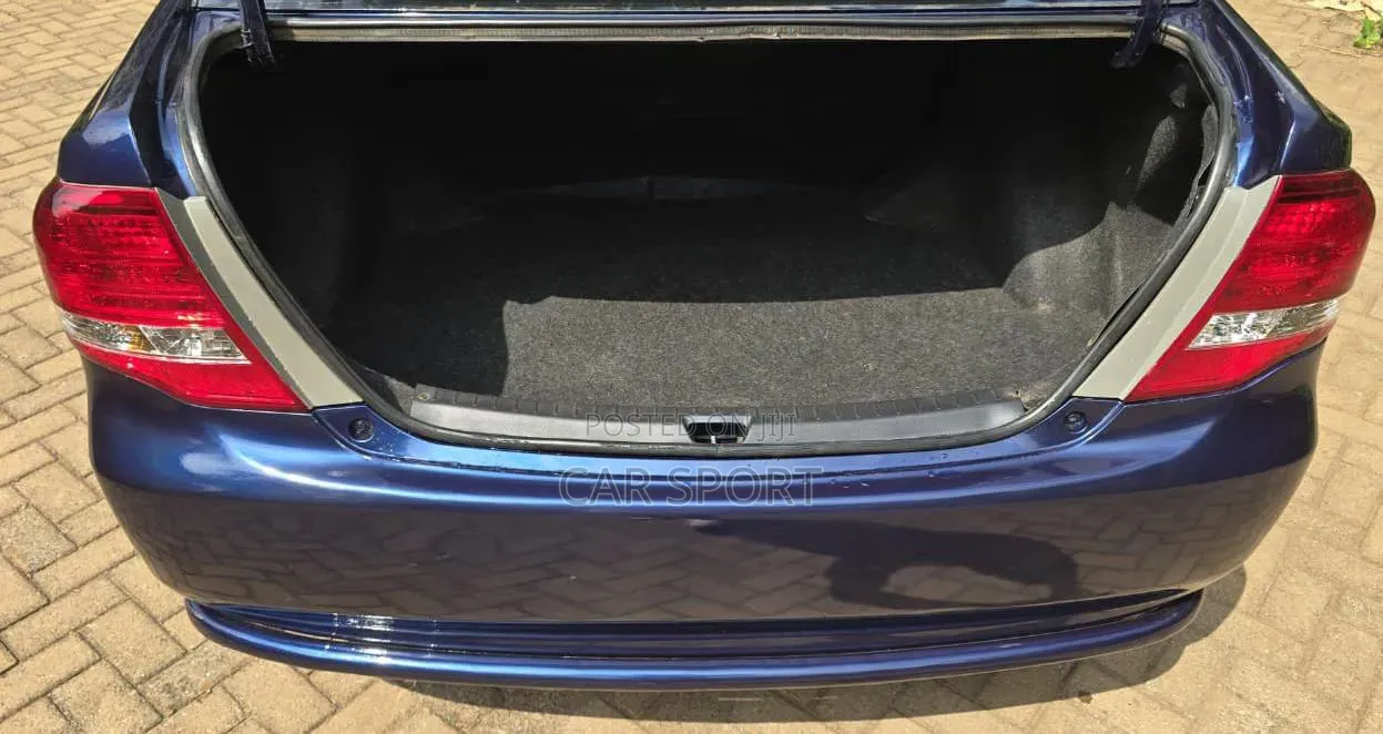 Toyota Axio 2009 Blue