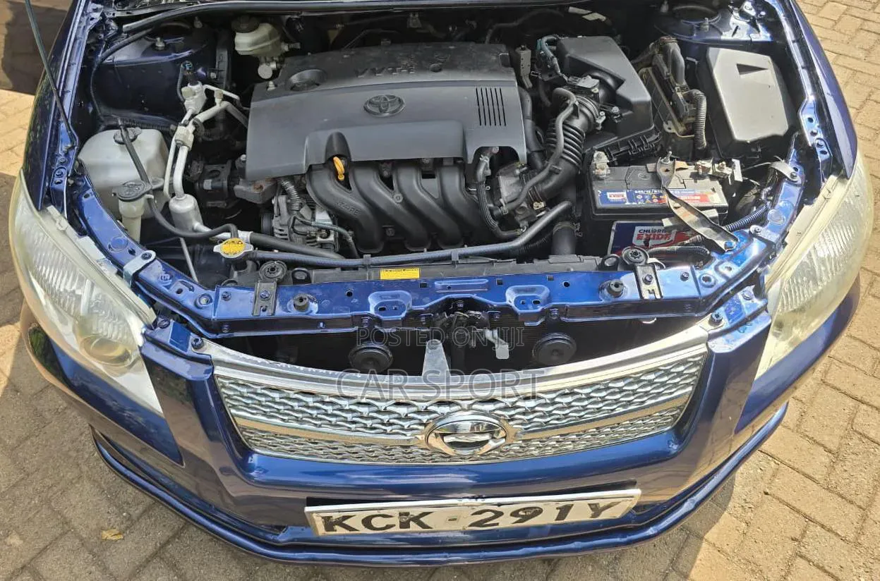 Toyota Axio 2009 Blue