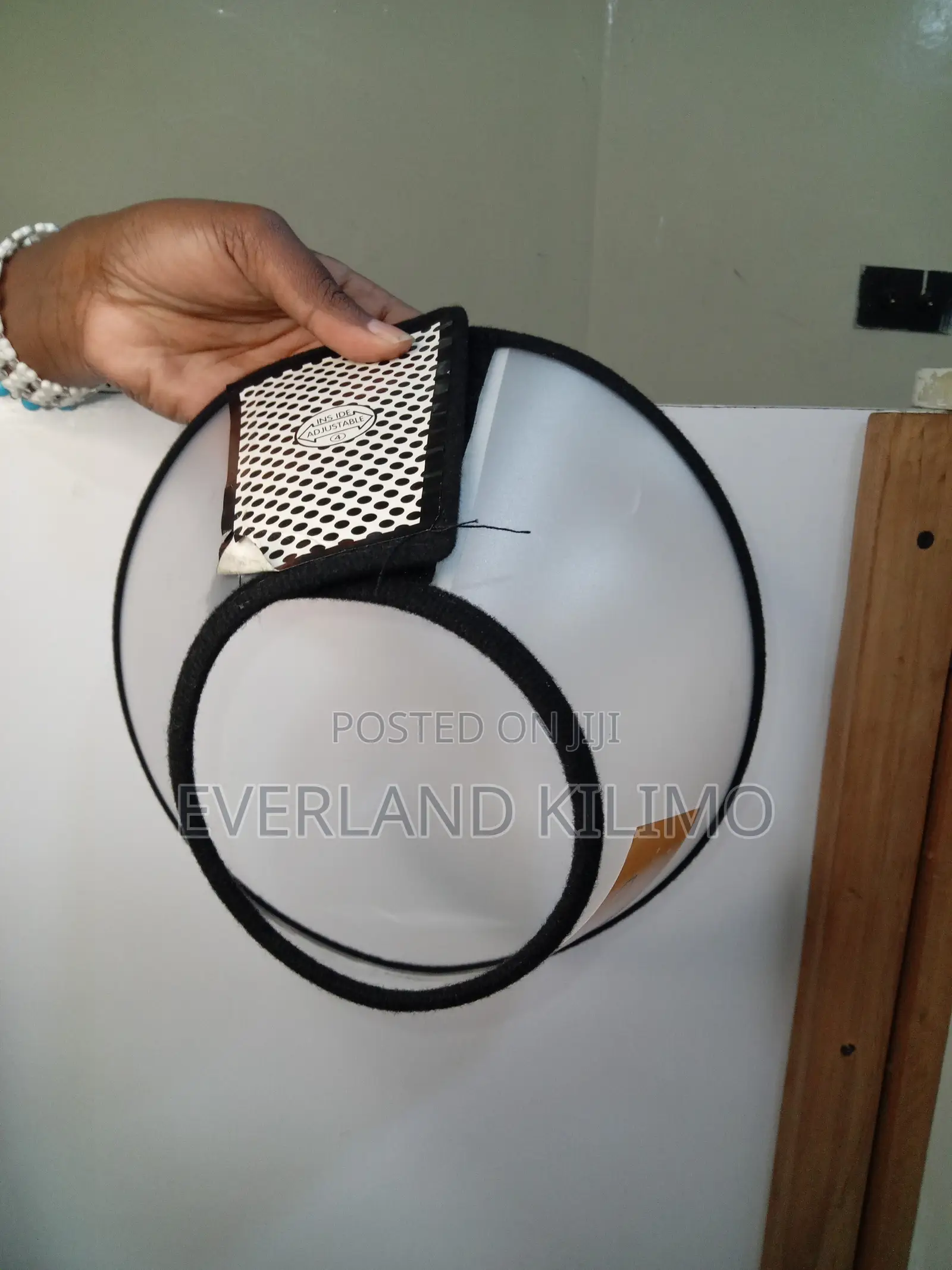 Recovery Pet Cone Collar
