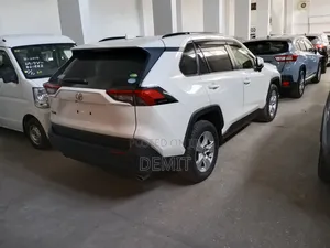 Toyota RAV4 LE AWD 2019 White