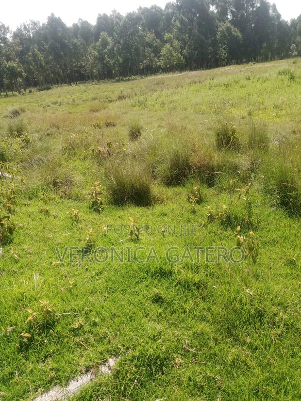 Land for Sale - thumbnail 5