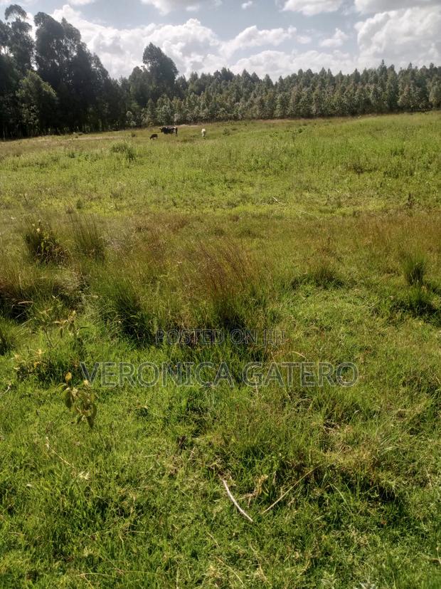 Land for Sale - thumbnail 6