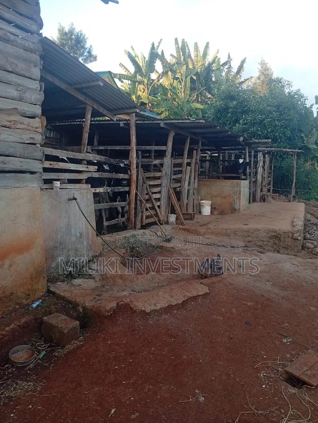 1 Acre Land on Sale at Gatundu-Muhoho
