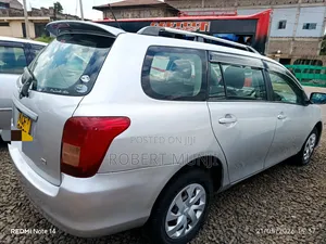 Toyota Corolla Fielder 2008 Silver
