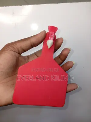 Large Z-tag Plain - Available In Various Colors