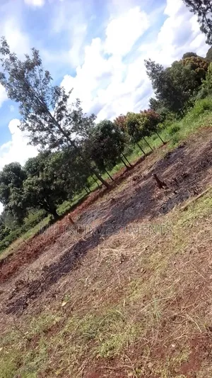 50 by 100 Sale at Gatundu-Kimunyu
