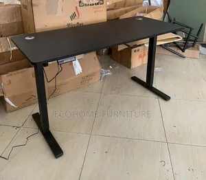 1.2 M Standing Electric Adjustable Desk