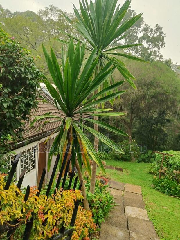 9bdrm House in Muthaiga for sale - thumbnail 4