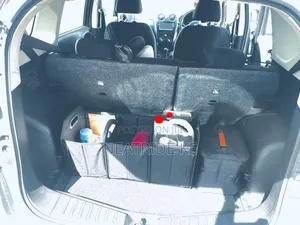 2-in-1 Boot Organizer & Free Cooler Bag