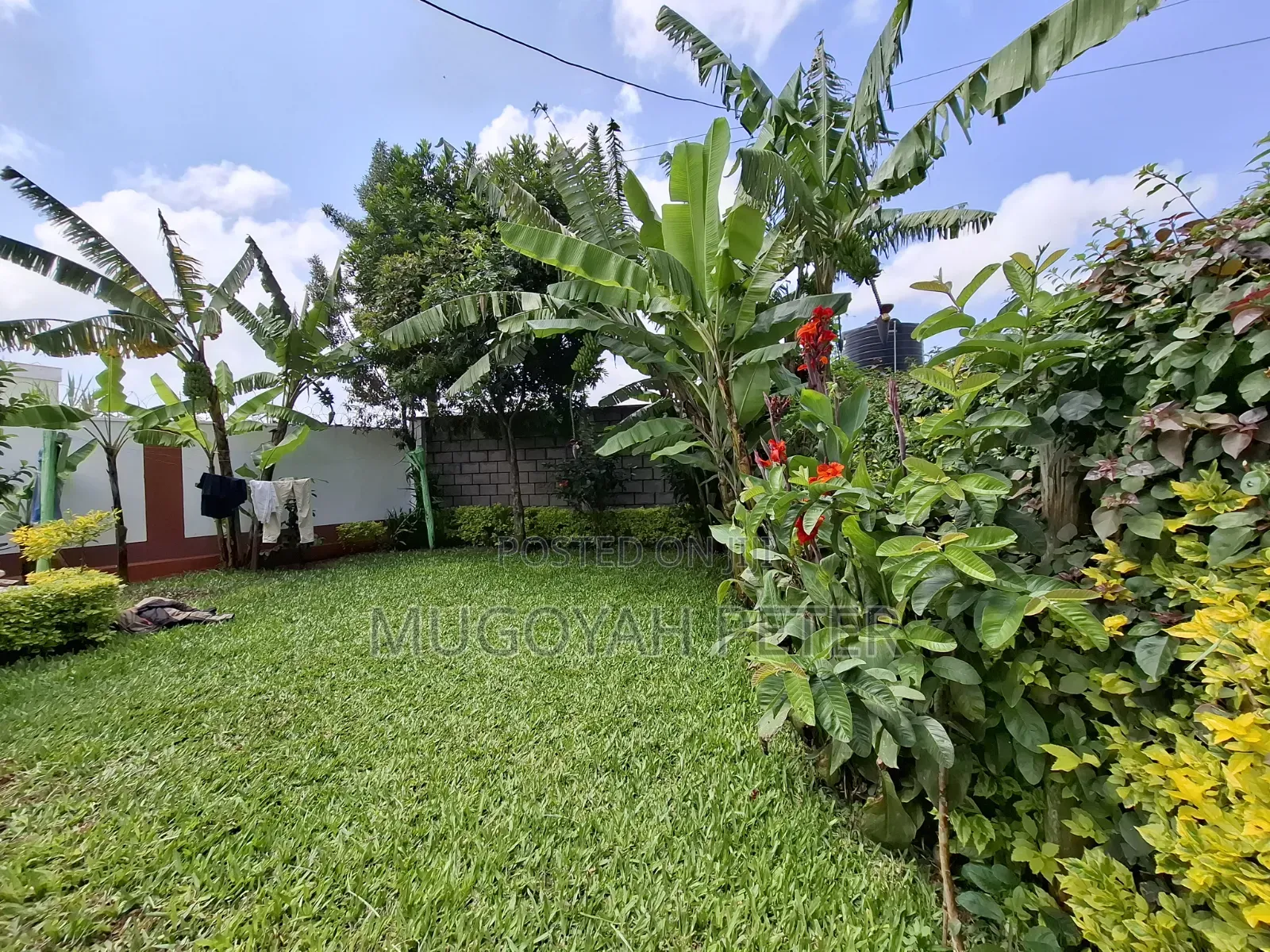3bdrm Bungalow in Uthiru for rent
