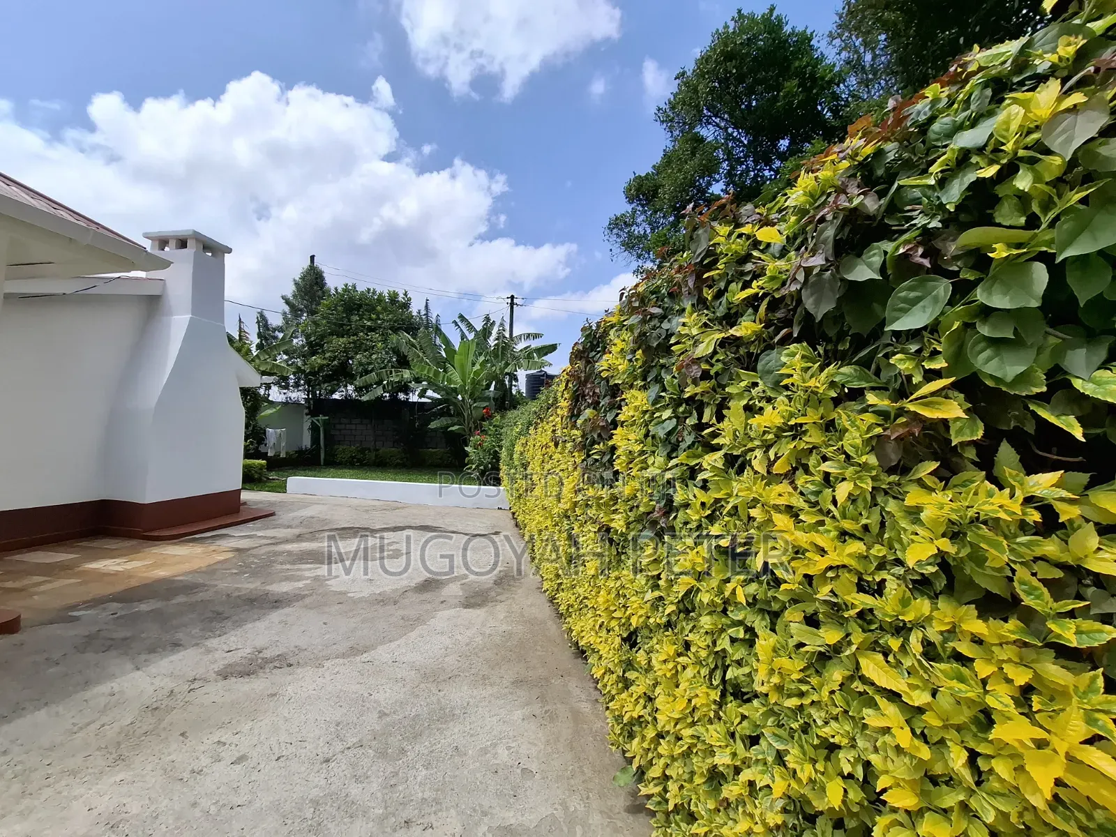 3bdrm Bungalow in Uthiru for rent