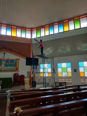 Cobwebs Removal Services