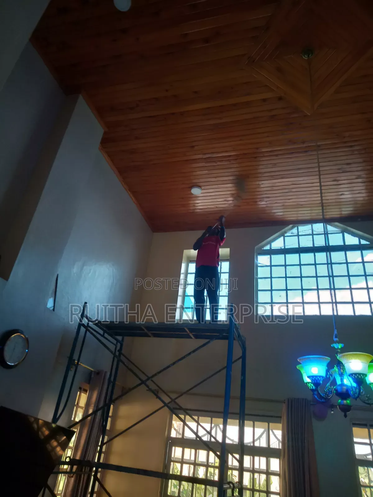 Cobwebs Removal Services