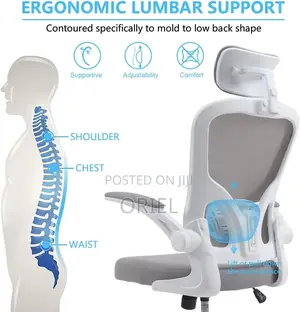 Office Chairs : Ergonomic High-Back Office Chair