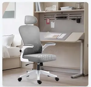 Office Chairs : Ergonomic High-Back Office Chair