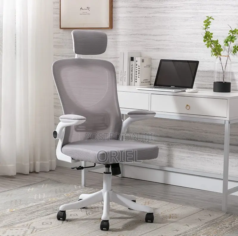 Office Chairs : Ergonomic High-Back Office Chair