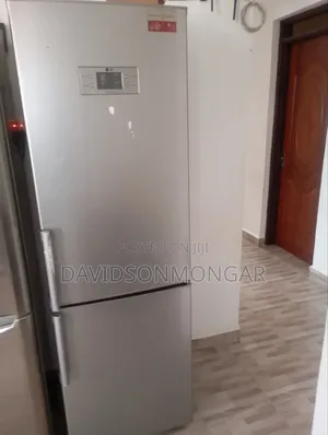Lg Ex Korea Double Door Big Fridge
