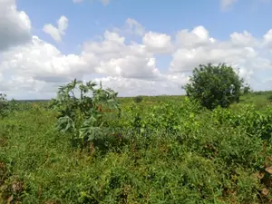 33.5 Acres Agricultural Land for Sale – Baricho, Malindi