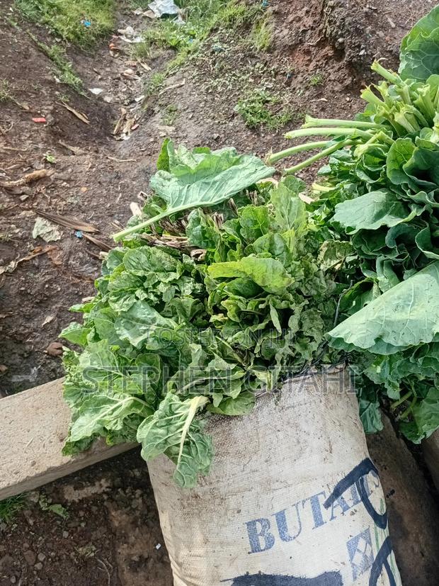Fresh Spinach for Sale