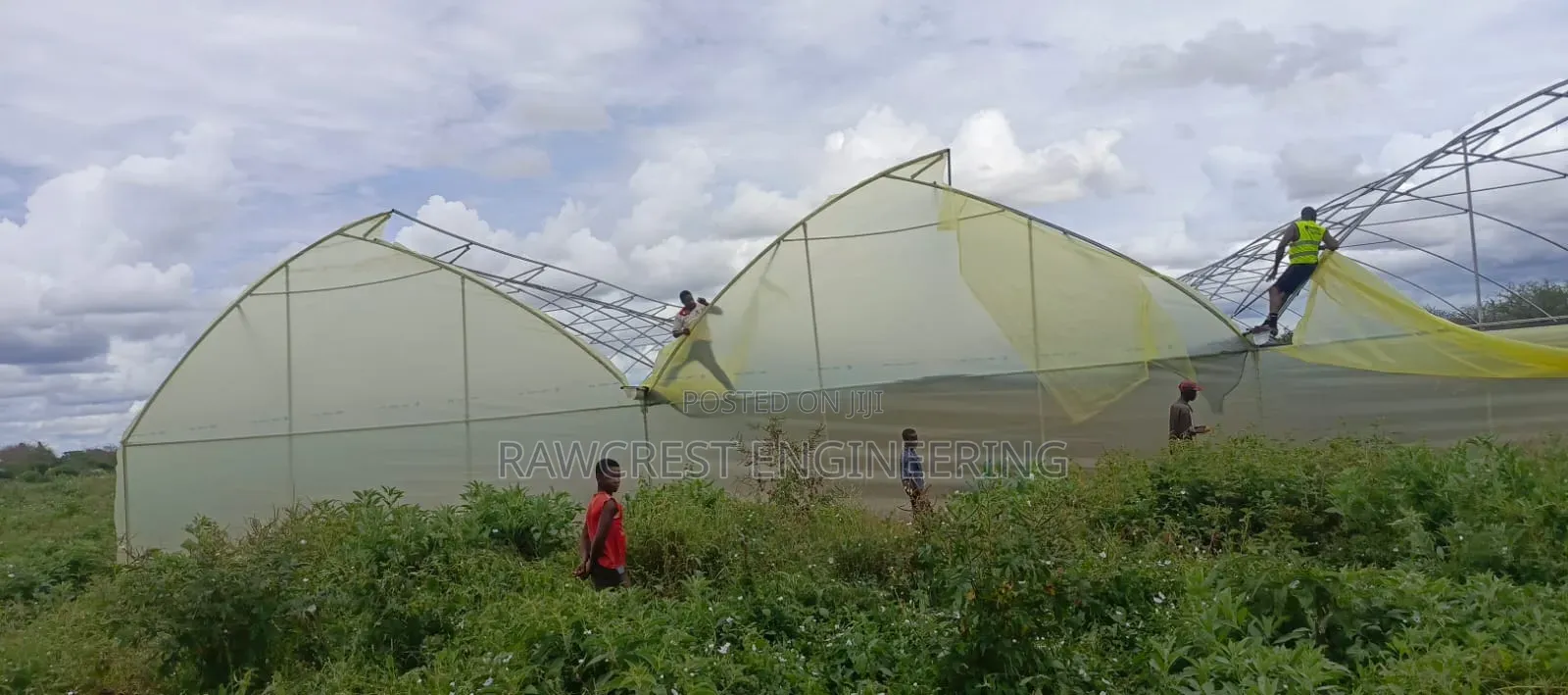 Greenhouse Construction