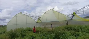 Greenhouse Construction